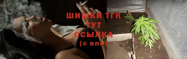 PSILOCYBIN Горно-Алтайск