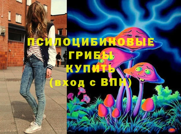 стафф Горнозаводск