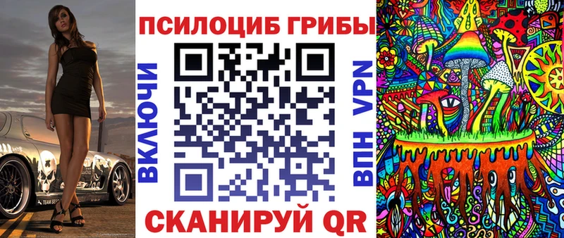Псилоцибиновые грибы GOLDEN TEACHER  Купить закладки  Тимашёвск 